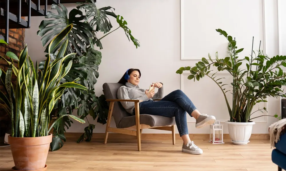 Sustainable Living: How Green Homes are Shaping the Future